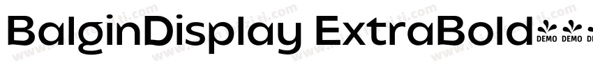 BalginDisplay ExtraBold字体字体转换